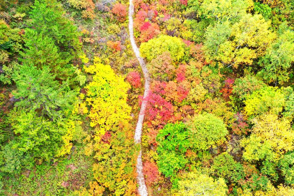 二龍什臺(tái)：漫山遍野披彩妝