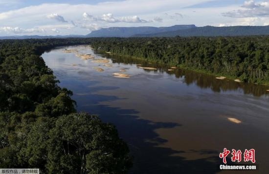 資料圖：亞馬孫雨林內(nèi)的河流。