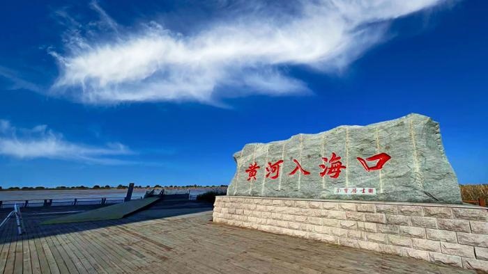 △黃河入海口位于山東東營市墾利區(qū)。(總臺央視記者彭漢明拍攝)