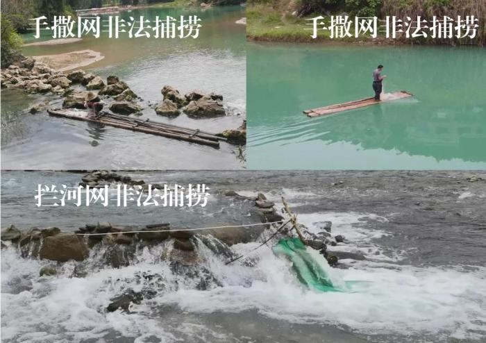 2021年9—10月，前期暗查發(fā)現(xiàn)，保護(hù)區(qū)核心區(qū)內(nèi)非法捕撈行為十分猖獗