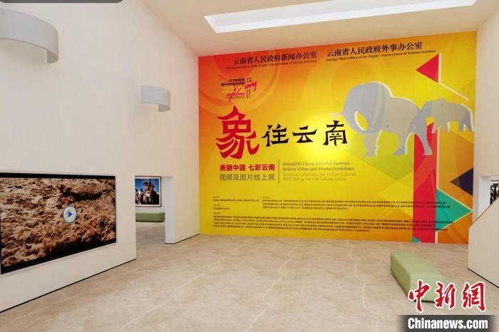 圖為“象”往云南——美麗中國 七彩云南視頻及圖片線上展截圖?！『h航 攝