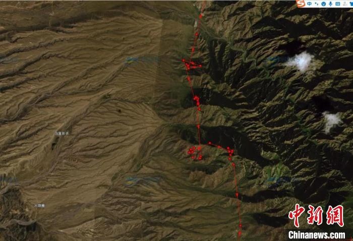 圖為雪豹故地重游來到放歸地的足跡?！让晒刨R蘭山國家級自然保護區(qū)供圖