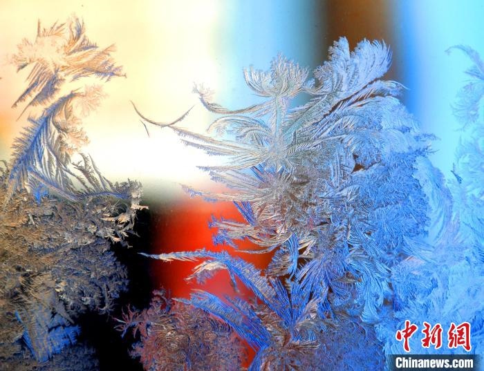 冰窗花千姿百態(tài)?！O書程 攝