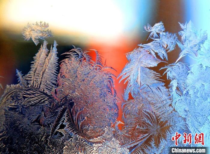 惟妙惟肖的冰窗花，似一幅風(fēng)景畫?！O書程 攝