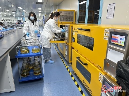 【高質(zhì)量發(fā)展看中國】基因遞送排頭兵 可實(shí)現(xiàn)“個性化”定制