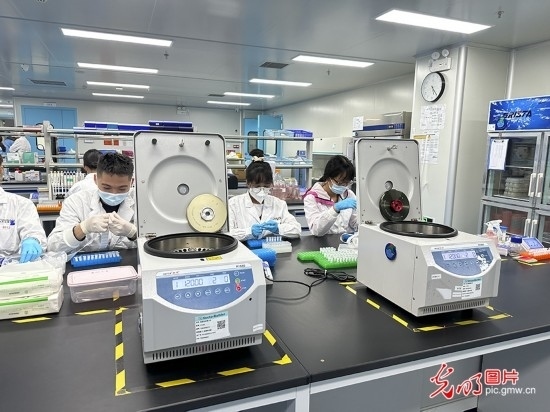 【高質(zhì)量發(fā)展看中國】基因遞送排頭兵 可實(shí)現(xiàn)“個性化”定制