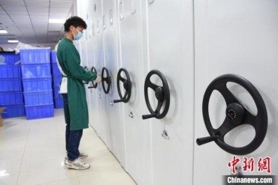 圖為鄭州大學(xué)人骨考古實(shí)驗(yàn)室內(nèi)的骨骼標(biāo)本庫。王宇 攝