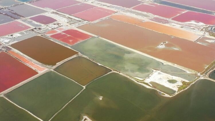 鑒往知來，跟著總書記學(xué)歷史丨走進(jìn)一座博物館，尋根五千年中華文明