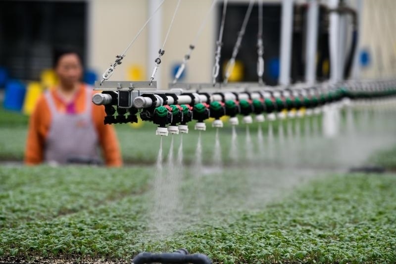 工人在貴陽市開陽縣楠木渡蔬菜良種繁育中心查看自動噴灌系統(tǒng)給辣椒苗澆水情況（2023年5月24日攝）。新華社記者 楊文斌 攝