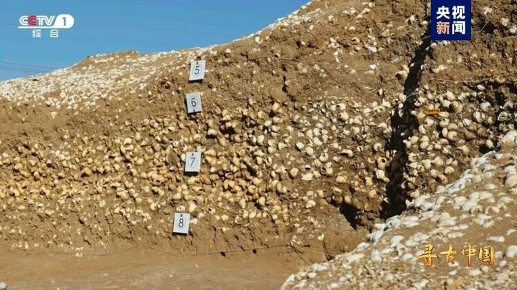 大型系列紀(jì)錄片《尋古中國》開播，首部系列探尋古滇文明