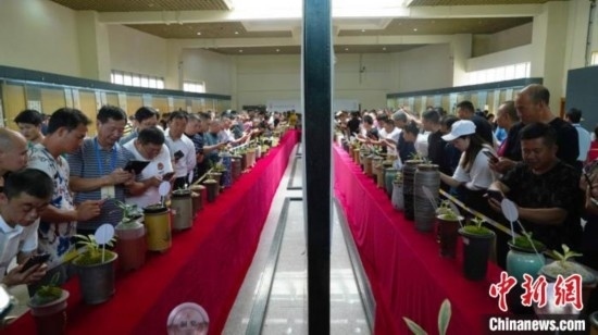 圖為活動現(xiàn)場。 云南省委臺辦供圖