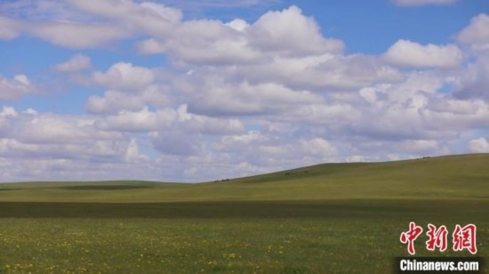 圖為點(diǎn)點(diǎn)新綠在原野上蓄勢待發(fā)。 歐戈 攝