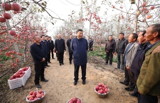 2022年10月26日，習(xí)近平總書(shū)記在陜西省延安市安塞區(qū)高橋鎮(zhèn)南溝村蘋(píng)果園同老鄉(xiāng)們親切交流。