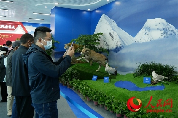 6月17日，觀眾正在觀展。人民網(wǎng) 韋衍行攝