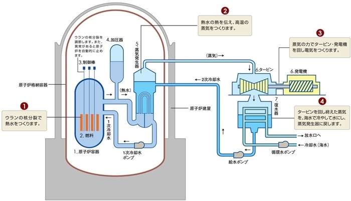 核電站運(yùn)作原理圖。通常的核電站排水未直接接觸核燃料。（圖片來源：日本北海道電力株式會(huì)社網(wǎng)站）