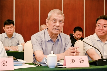 中國林業(yè)生態(tài)作家協(xié)會名譽主席梁衡發(fā)言。主辦方供圖