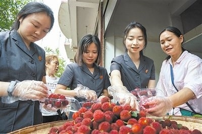 志愿者和村民一起將摘下的楊梅裝進(jìn)食品盒里。