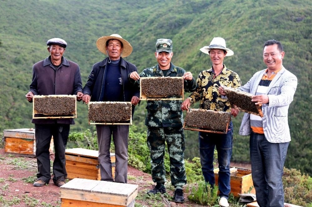 ↑武警四川總隊涼山支隊精準(zhǔn)幫扶昭覺縣梭梭拉打村發(fā)展養(yǎng)蜂產(chǎn)業(yè)，總隊駐村扶貧干部布哈（中）和村民一同展示豐收成果（2019年6月12日攝）。新華社發(fā)（楊劍 攝）
