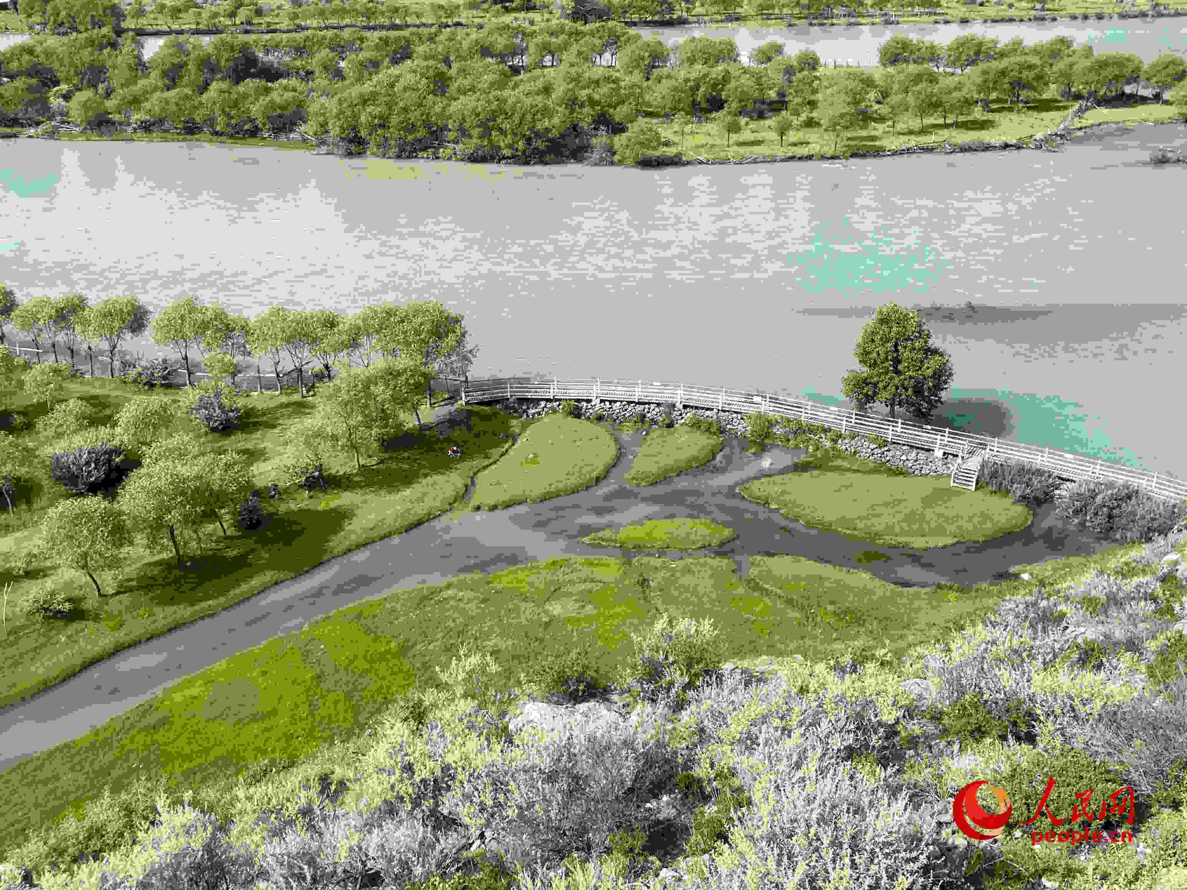 夏日的雅尼國(guó)家濕地公園生機(jī)盎然，如詩(shī)如畫(huà)。人民網(wǎng) 周靜圓攝