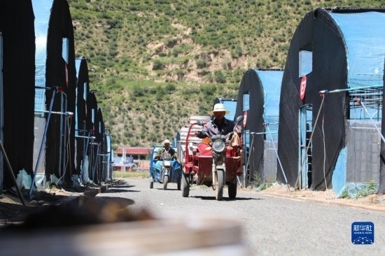 7月29日，農(nóng)戶在卓尼縣納浪鎮(zhèn)納浪村黑木耳種植基地勞作。