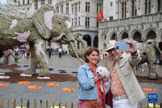 8月11日，觀眾在比利時(shí)布魯塞爾“鮮花時(shí)光”展覽上拍照。新華社記者 趙丁喆攝