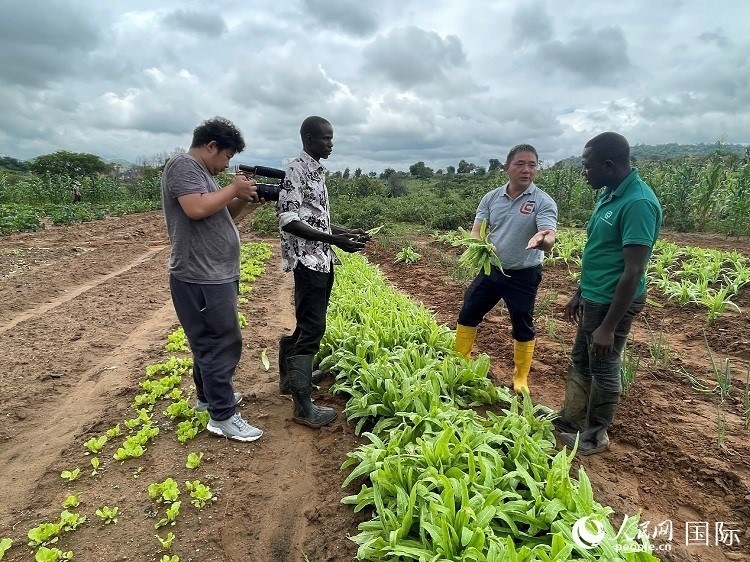 人民網(wǎng)記者走進尼日利亞農(nóng)業(yè)技術(shù)示范中心。人民網(wǎng)記者 趙艷紅攝