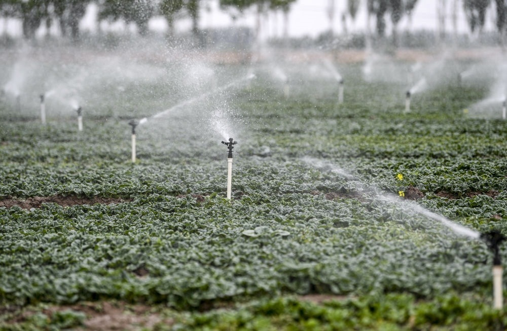 2023年5月25日，在寧夏銀川市永寧縣望洪鎮(zhèn)宋澄村冷涼蔬菜種植基地，小型噴灌節(jié)水設(shè)備在進(jìn)行噴灌作業(yè)。新華社記者 馮開華 攝