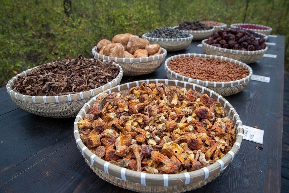 △近日，漠河市北極村一景區(qū)展示的林下產(chǎn)品。