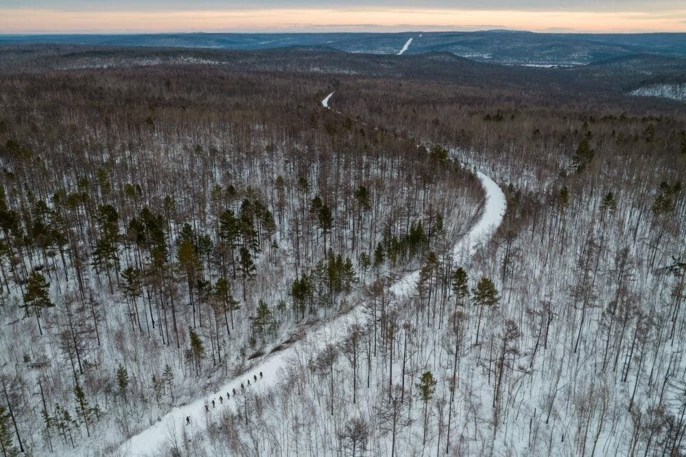 △2023年1月，漠河林場(chǎng)數(shù)十名職工自發(fā)組成的森林撫育隊(duì)伍，在人跡罕至的山林中作業(yè)。
