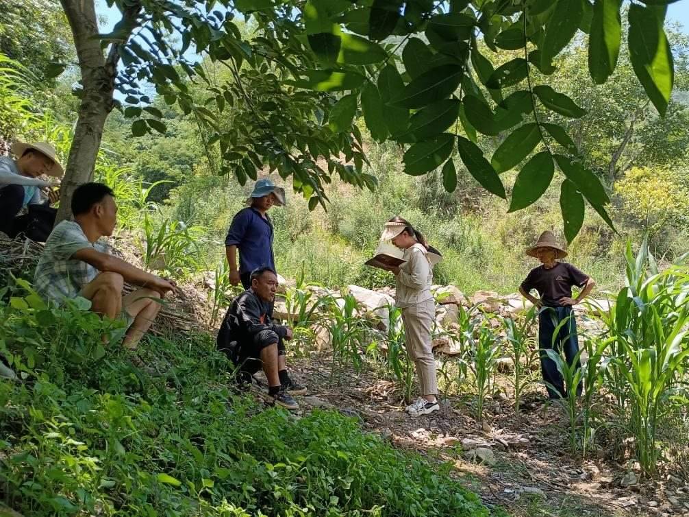 2023年7月18日，兩家村民發(fā)生土地方面的糾紛，李江女（右二）在記錄情況。受訪者供圖