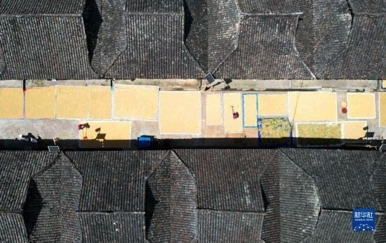 9月16日，在貴州省黔東南苗族侗族自治州從江縣加勉鄉(xiāng)污扣村，村民在晾曬稻谷（無人機(jī)照片）。