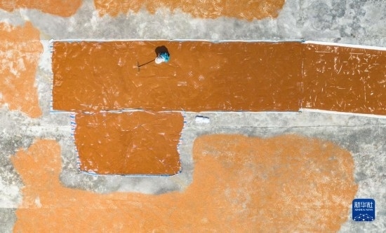 9月16日，農(nóng)民在貴州省安順市西秀區(qū)大西橋鎮(zhèn)吉昌村晾曬高粱（無人機(jī)照片）。