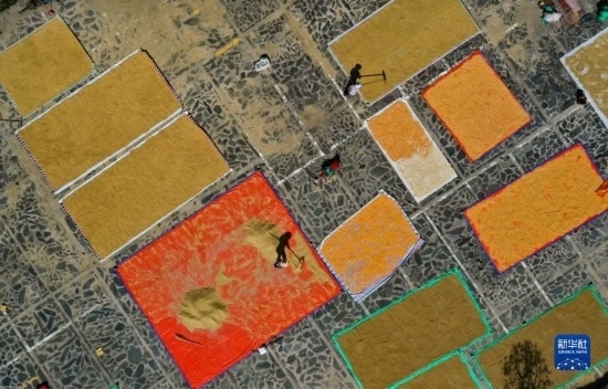 9月16日，貴州省黔東南苗族侗族自治州丹寨縣南皋鄉(xiāng)石橋村村民在晾曬農(nóng)作物（無人機(jī)照片）。