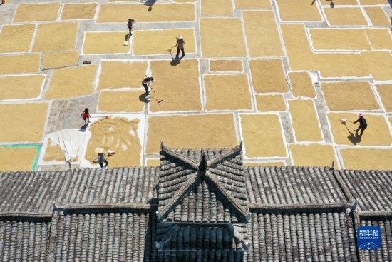 9月16日，村民在貴州省黔東南苗族侗族自治州從江縣剛邊壯族鄉(xiāng)三聯(lián)村晾曬稻谷（無人機(jī)照片）。