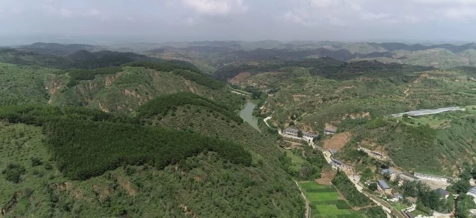 黃土溝壑中的高西溝村滿眼綠色（無(wú)人機(jī)照片，2023年7月26日）。新華社記者陳昌奇 攝