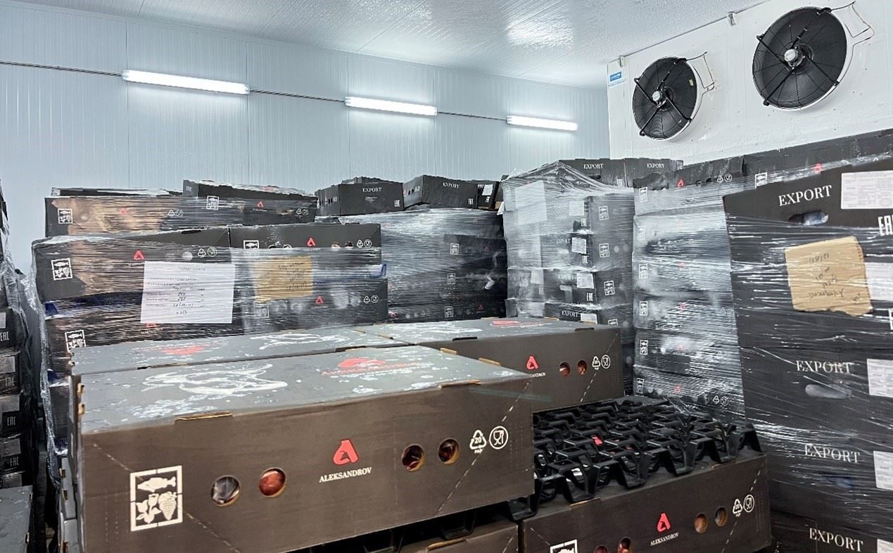 恒溫冷庫中，包裝好的牛肉等待發(fā)往中國。人民網(wǎng)記者 朱虹攝