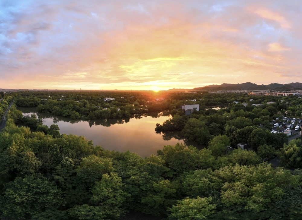 杭州西溪濕地日出景觀。