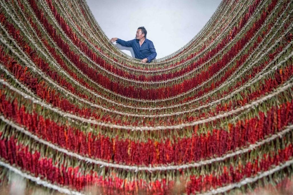 在貴州省畢節(jié)市大方縣理化鄉(xiāng)金雞村，村民查看辣椒烘干情況。新華社發(fā) 羅大富攝