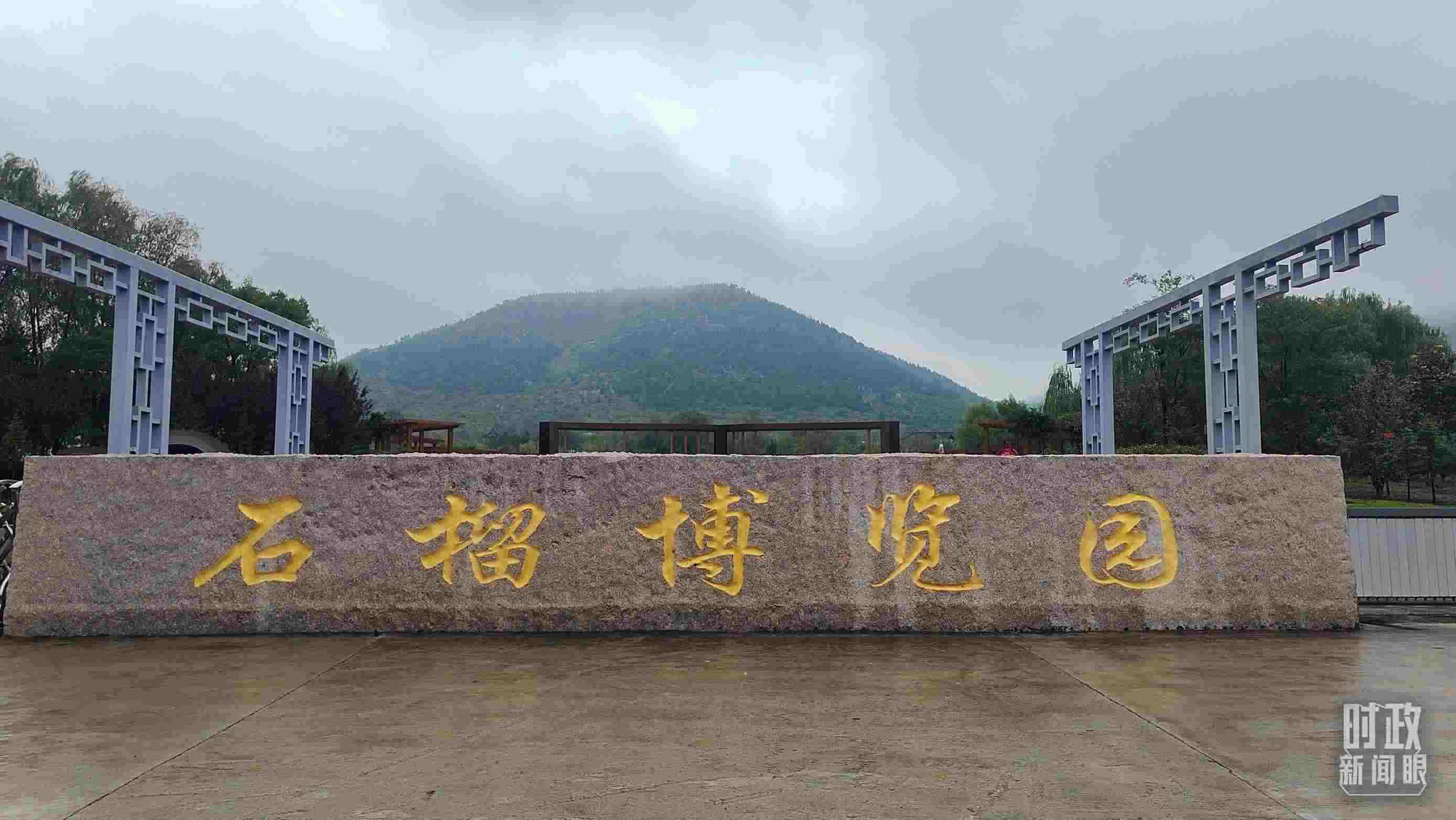 △石榴種質(zhì)資源庫位于石榴博覽園內(nèi)。（總臺央視記者楊立峰拍攝）