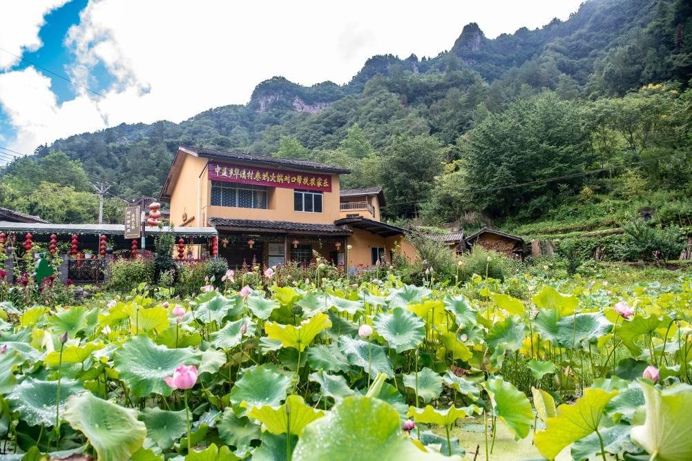 這是8月28日拍攝的華溪村村民開設的農家樂外景。新華社記者 唐奕 攝