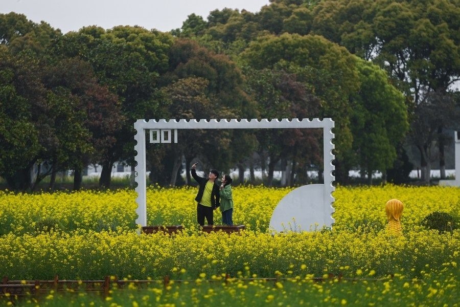  游客在浙江嘉興市秀洲區(qū)王店鎮(zhèn)鎮(zhèn)中村的“青青樂地”農(nóng)耕文化園內(nèi)游玩（2023年4月3日攝）。
