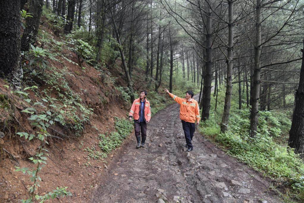 海雀村生態(tài)護(hù)林員馬正安（左）和海雀村林管員王光德（右）在日常巡山護(hù)林。新華社記者 李凡 攝