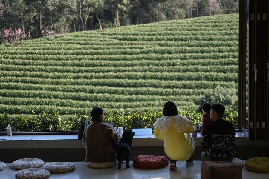 游客在浙江省安吉縣黃杜村萬畝茶園邊的咖啡館休閑（2023年2月21日攝）。