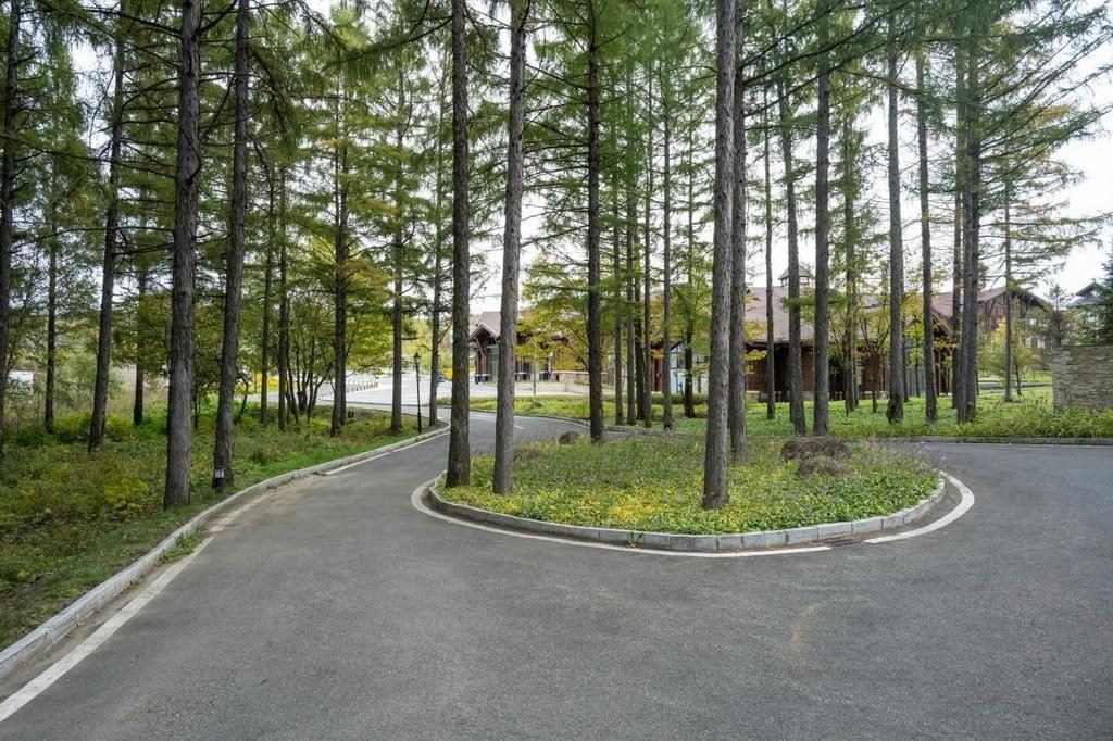 園區(qū)里“路讓樹(shù)”成為行為準(zhǔn)則。王哲攝