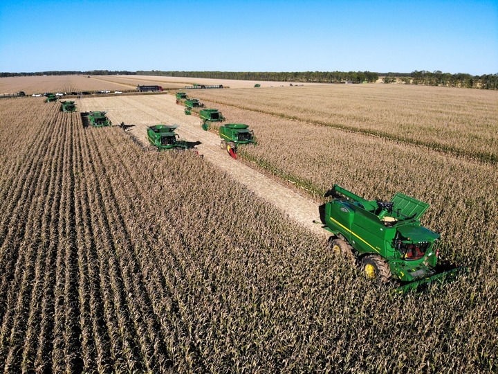 9月20日在位于黑龍江雙鴨山市友誼縣的北大荒農(nóng)業(yè)股份有限公司友誼分公司一地塊拍攝的秋收現(xiàn)場（無人機照片）。新華社記者 王松 攝