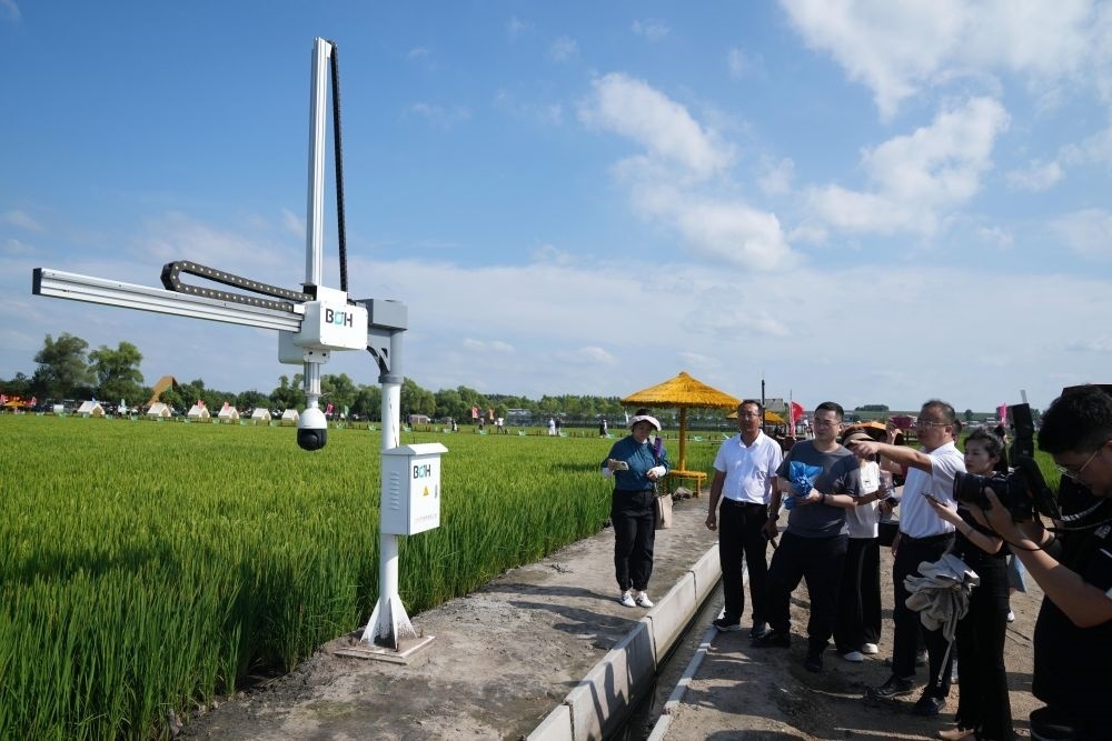 在北大荒集團閆家崗農(nóng)場有限公司農(nóng)業(yè)現(xiàn)代化示范區(qū)，工作人員在介紹利用數(shù)字技術(shù)的葉齡診斷儀（2023年8月10日攝）。新華社記者 王建威 攝
