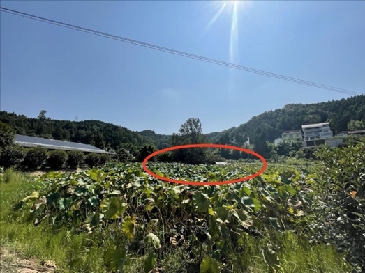 曾經(jīng)的圣水園所在地。 人民網(wǎng)記者 楊喬攝