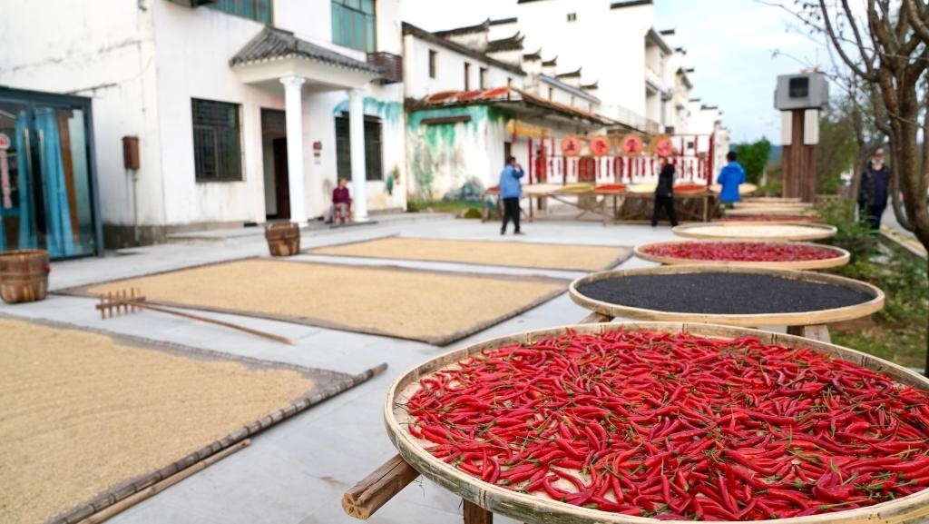 近日拍攝的江西省上饒市婺源縣秋口鎮(zhèn)王村石門自然村。新華社記者 胡晨歡 攝