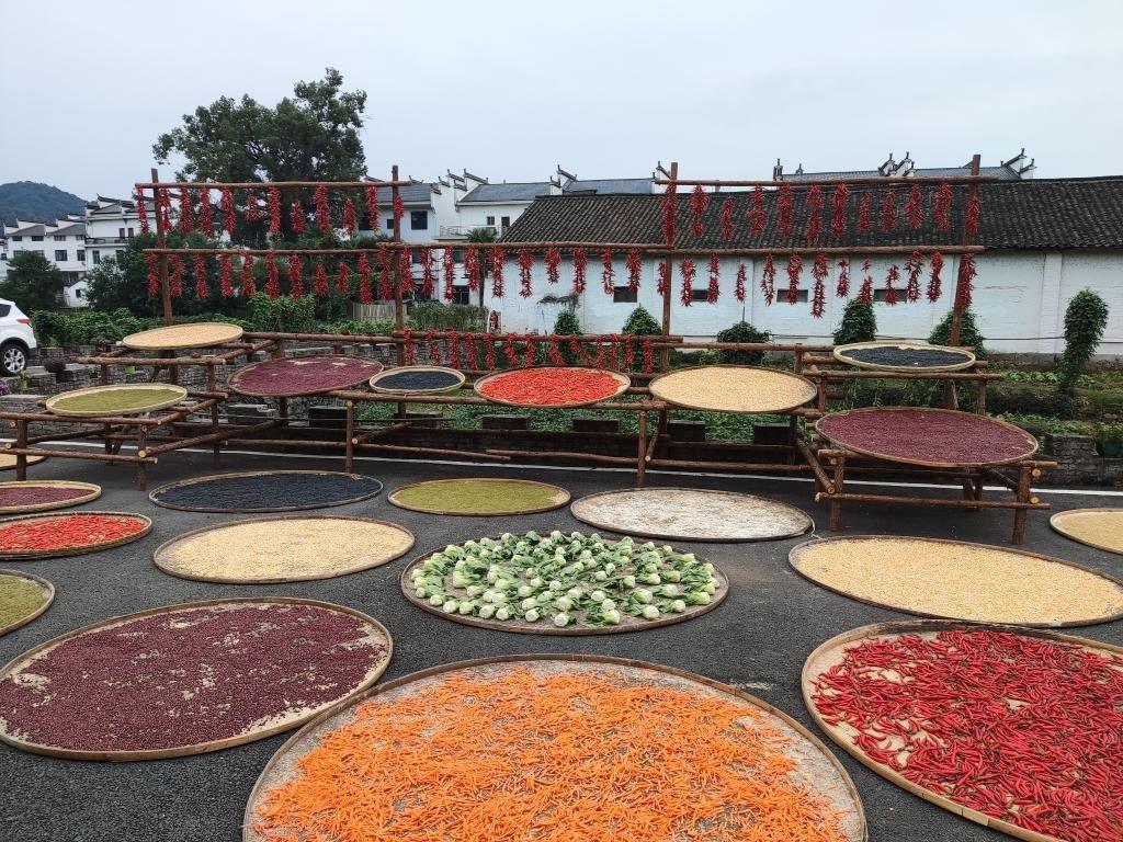 近日，江西省上饒市婺源縣秋口鎮(zhèn)王村村民晾曬的農(nóng)作物。新華社記者 劉佳敏 攝