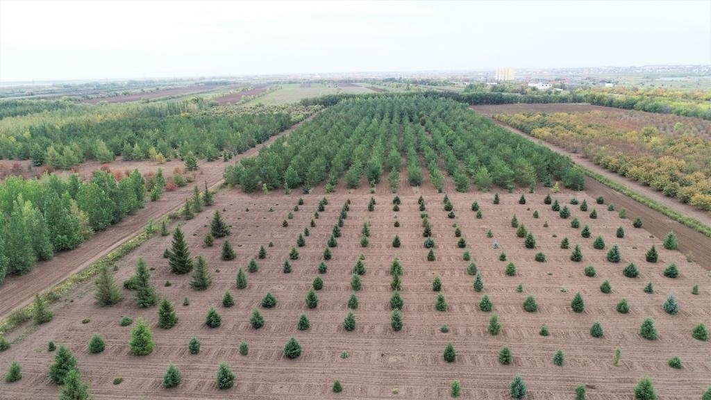 這是2023年9月11日在哈薩克斯坦首都阿斯塔納拍攝的一處植物種質(zhì)資源苗圃（無人機(jī)照片）。新華社發(fā)（法爾哈特·圖克諾夫 攝）